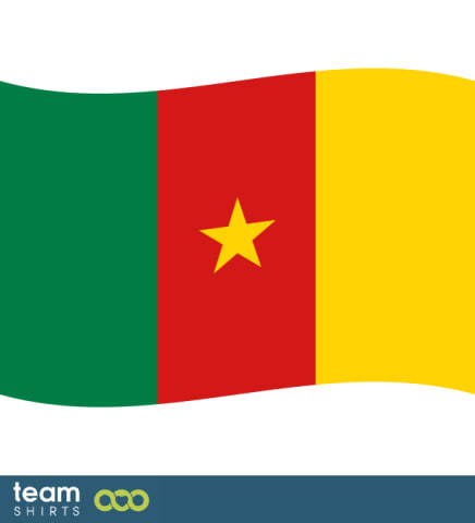 Flag Cameroon