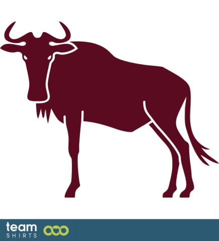 Buffalo