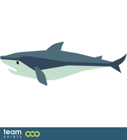 Minke Whale