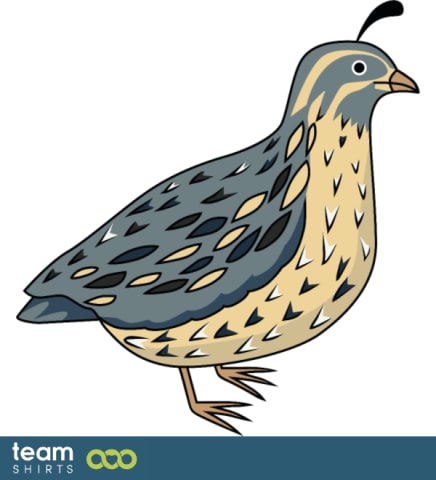 quail
