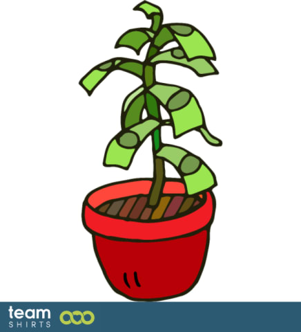 Money tree