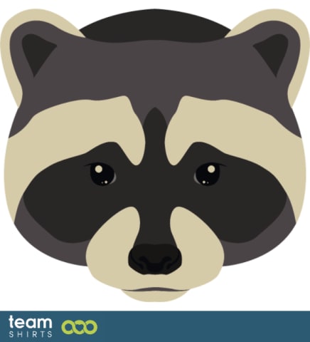 raccoon