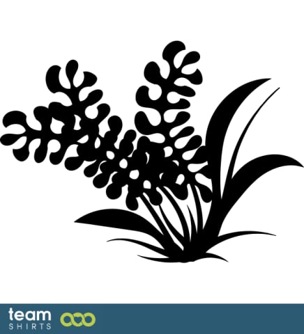 Grass