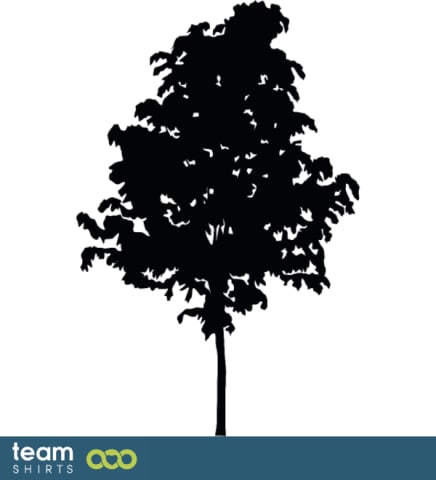 pine tree