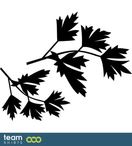 coriander silhouette