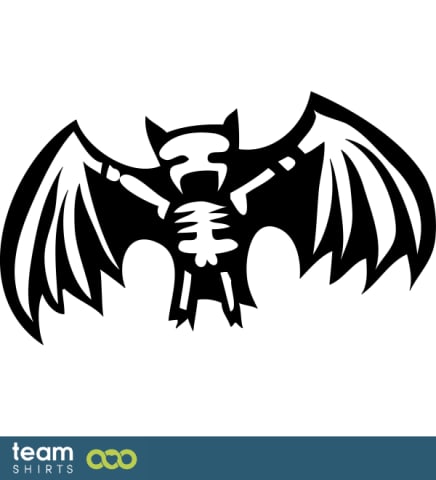 bat skeleton