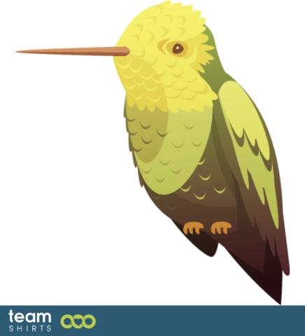 humming bird