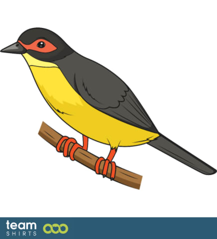 bird