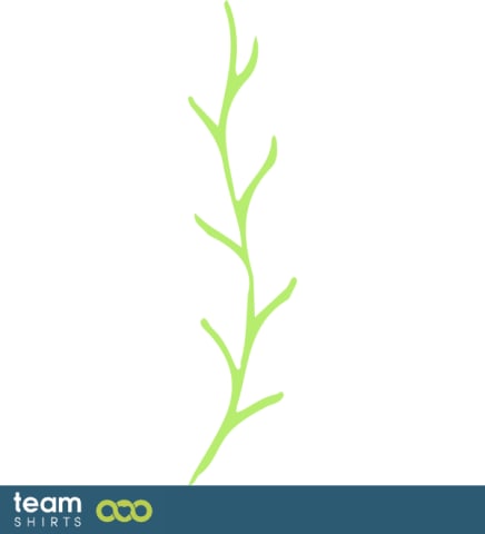 branch