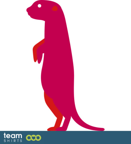 meerkat