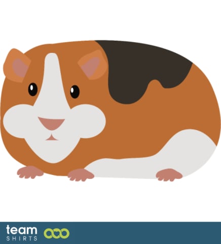 hamster