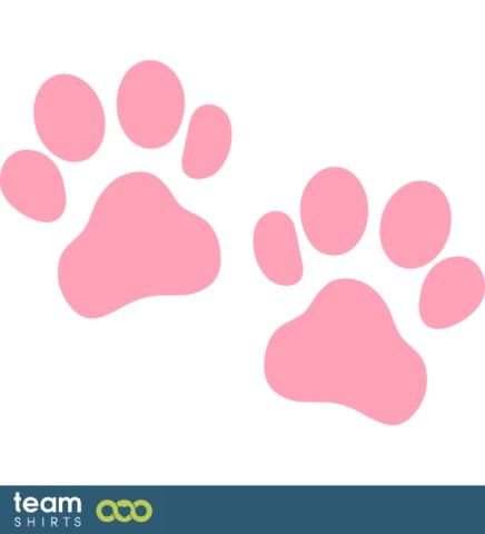 Cat paws