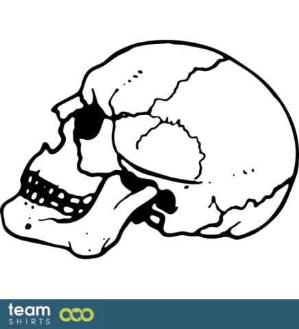 skull