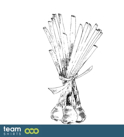 Spring Onion