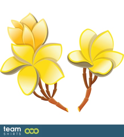 Plumeria