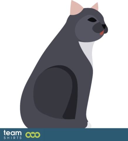 grey cat