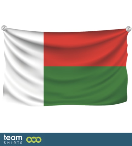 flag madagascar