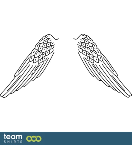 wings