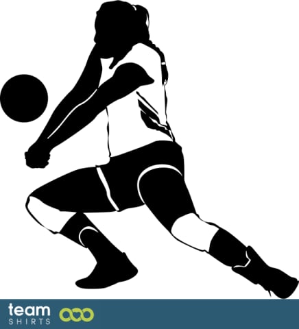 Volleyball Player
