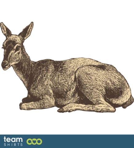 doe