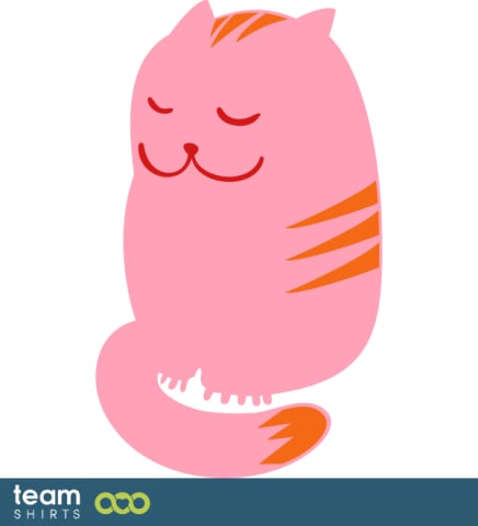 cute cat