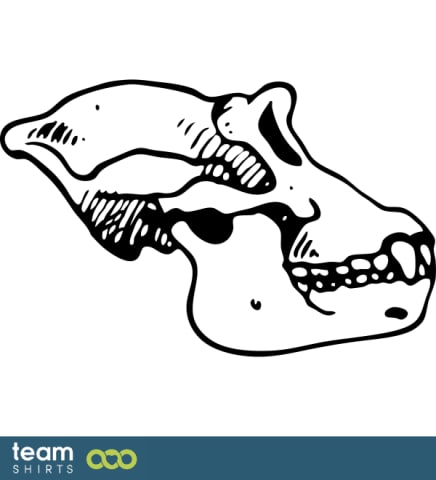 ape skull