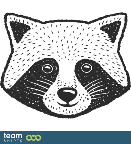 raccoon