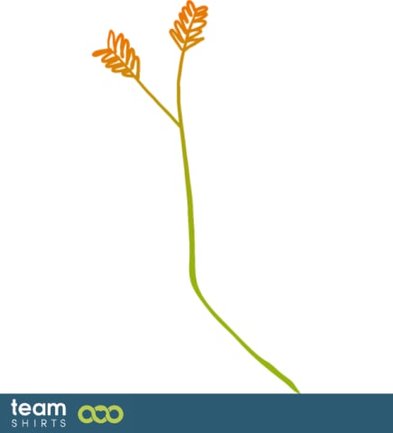Branch
