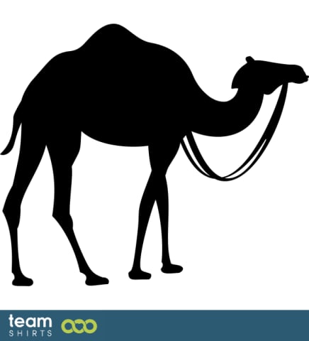 Dromedary