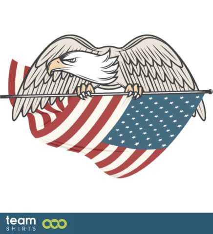 USA flag