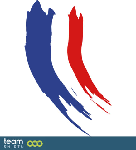 French flag vintage