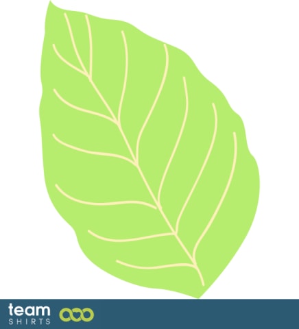 Basil