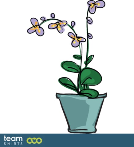 indoor plant