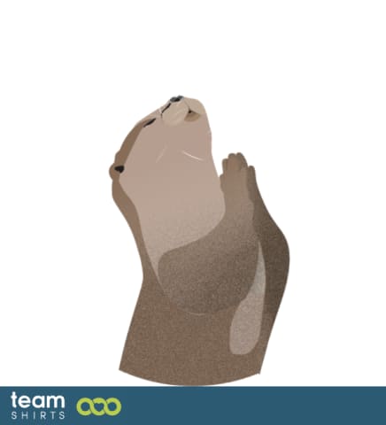 amg prayforsnow for all christmas otter environment