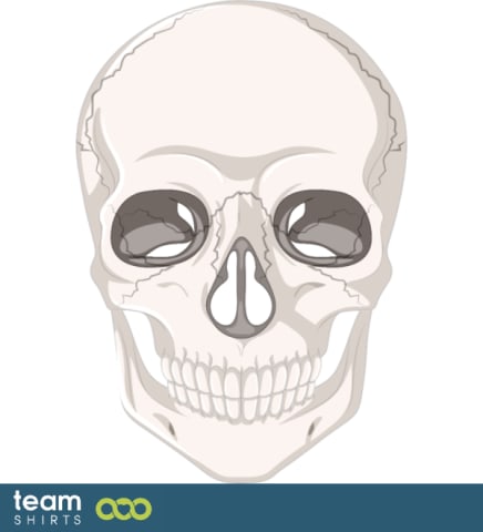 skull
