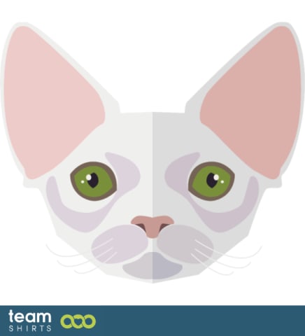 sphynx