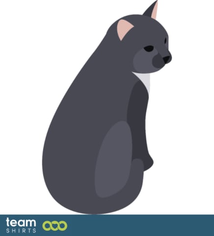grey cat