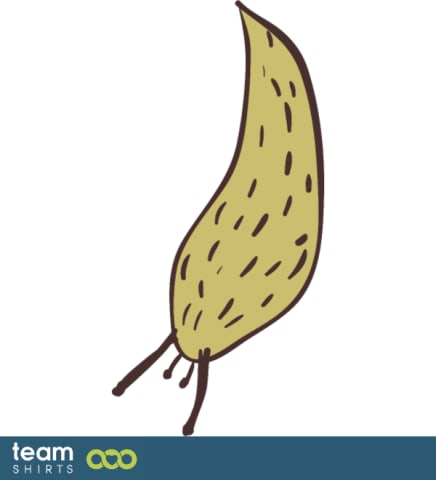 snail