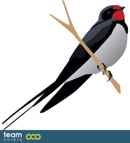 swallow
