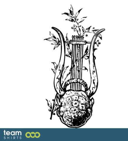 Harp with turtle shell