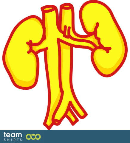Kidneys