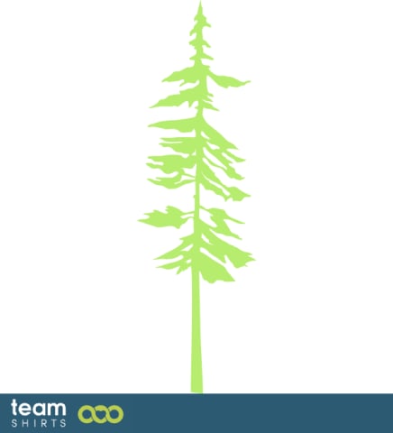 pine tree