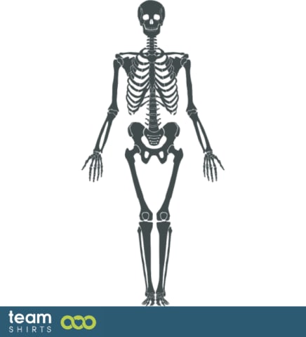 skeleton