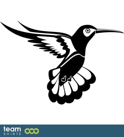 humming bird