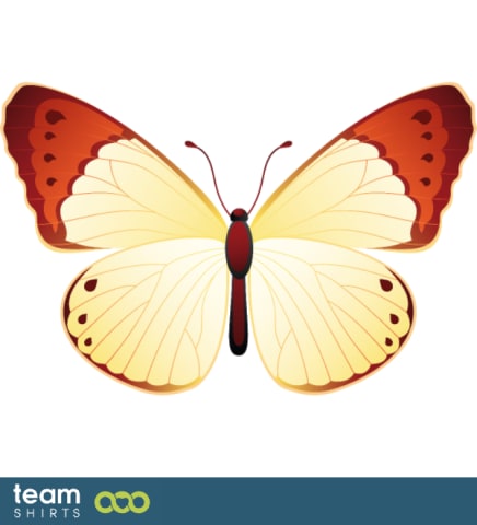 Orange tip