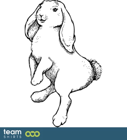 rabbit