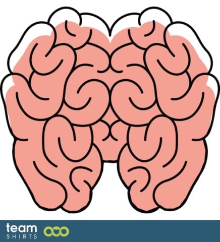 Brain