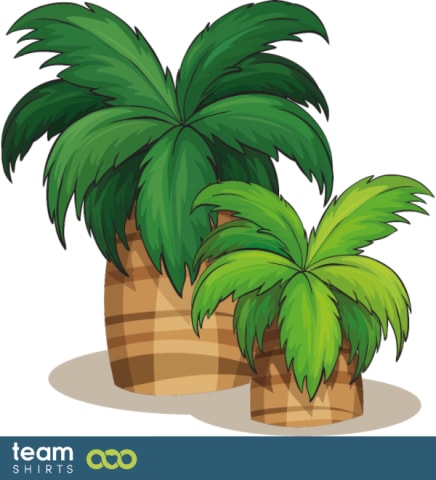 palmtree