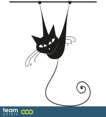 hanging cat