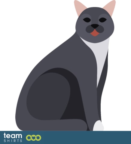 grey cat
